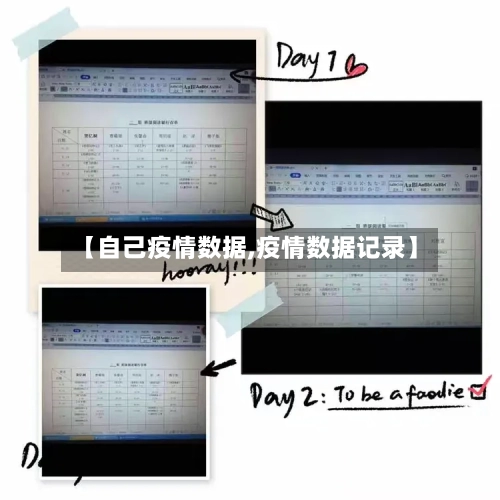 【自己疫情数据,疫情数据记录】