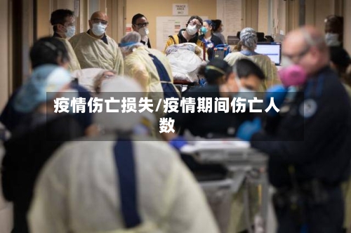 疫情伤亡损失/疫情期间伤亡人数-第3张图片