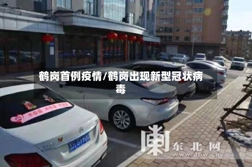 鹤岗首例疫情/鹤岗出现新型冠状病毒-第2张图片
