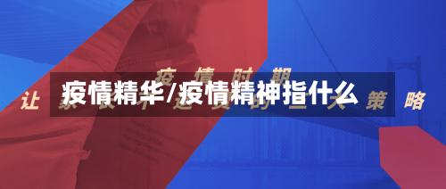 疫情精华/疫情精神指什么-第3张图片