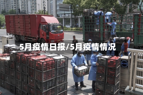 5月疫情日报/5月疫情情况-第2张图片