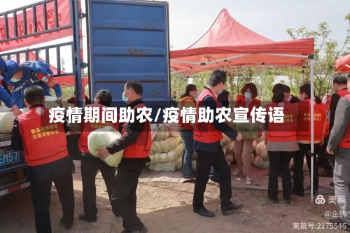 疫情期间助农/疫情助农宣传语