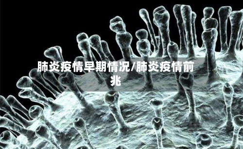肺炎疫情早期情况/肺炎疫情前兆