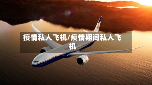 疫情私人飞机/疫情期间私人飞机