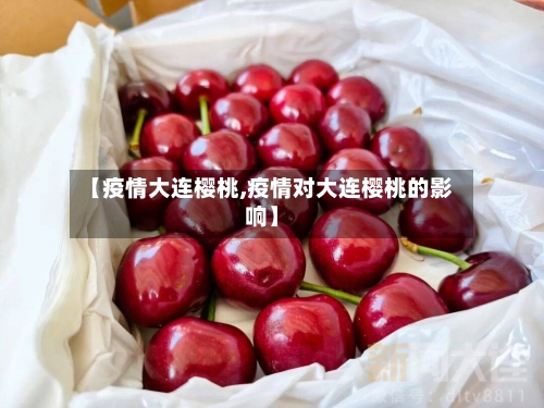 【疫情大连樱桃,疫情对大连樱桃的影响】