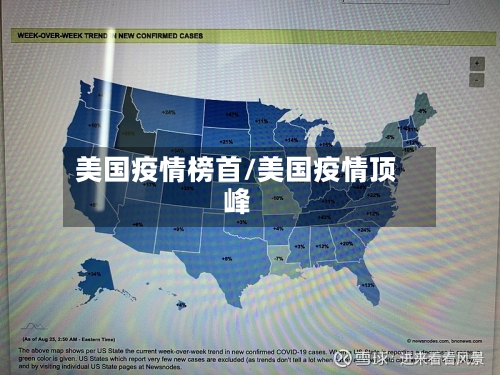 美国疫情榜首/美国疫情顶峰