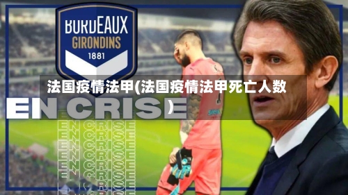 法国疫情法甲(法国疫情法甲死亡人数)