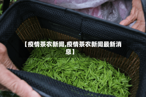 【疫情茶农新闻,疫情茶农新闻最新消息】-第2张图片