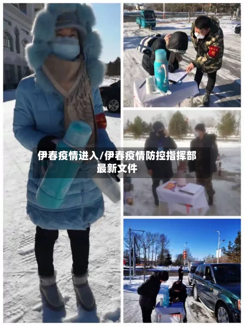 伊春疫情进入/伊春疫情防控指挥部最新文件-第3张图片
