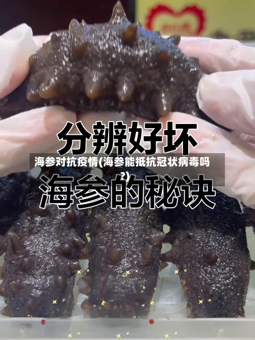海参对抗疫情(海参能抵抗冠状病毒吗?)