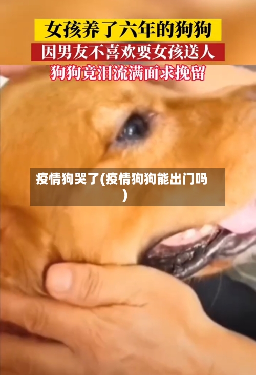 疫情狗哭了(疫情狗狗能出门吗)