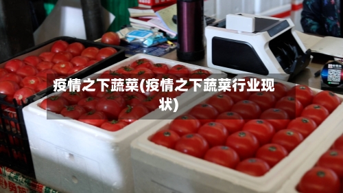 疫情之下蔬菜(疫情之下蔬菜行业现状)-第2张图片