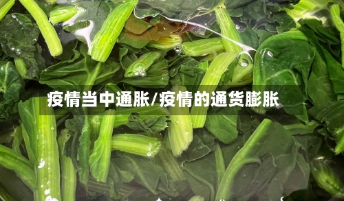 疫情当中通胀/疫情的通货膨胀-第3张图片